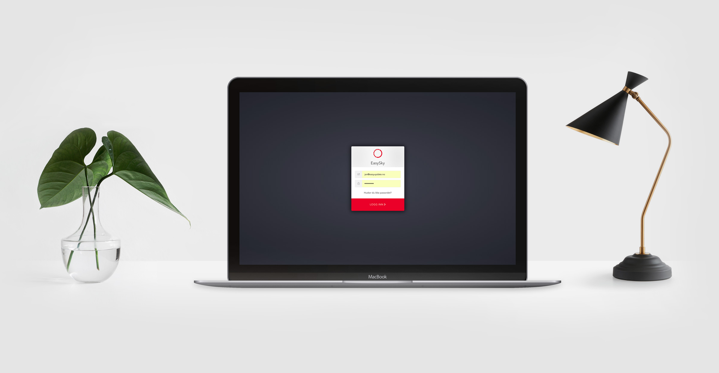 Regnskapsfører innlogging til skyløsning